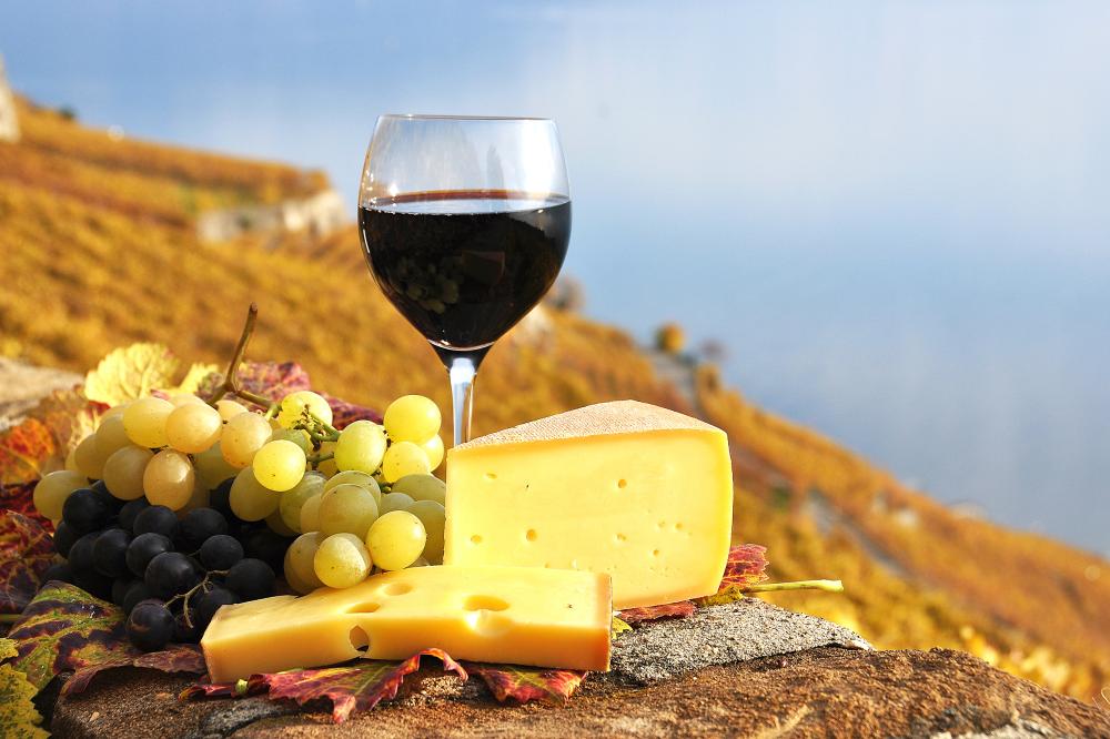 Vinho, uvas e queijo na Serra Gaúcha